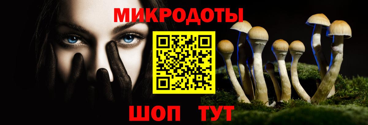 Псилоцибиновые грибы Psilocybe  Вход с VPN  Галлюциногенные грибы GOLDEN TEACHER  Кумертау 